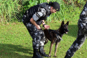 A soldado Angélica Aparecida Chuede é a primeira mulher a fazer parte da Companhia de Operações com Cães (COC) do Batalhão de Operações Especiais (BOPE), em 47 anos de criação da subunidade. A inclusão da militar estadual aconteceu com a formatura dela no Curso de Cinotecnia na última semana, que fez todas as etapas com seu cão Hunter.  -  Curitiba, 04/07/2019  =-  Foto: Soldado Amanda Morais