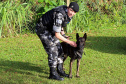 A soldado Angélica Aparecida Chuede é a primeira mulher a fazer parte da Companhia de Operações com Cães (COC) do Batalhão de Operações Especiais (BOPE), em 47 anos de criação da subunidade. A inclusão da militar estadual aconteceu com a formatura dela no Curso de Cinotecnia na última semana, que fez todas as etapas com seu cão Hunter.  -  Curitiba, 04/07/2019  =-  Foto: Soldado Amanda Morais