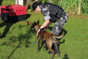 A soldado Angélica Aparecida Chuede é a primeira mulher a fazer parte da Companhia de Operações com Cães (COC) do Batalhão de Operações Especiais (BOPE), em 47 anos de criação da subunidade. A inclusão da militar estadual aconteceu com a formatura dela no Curso de Cinotecnia na última semana, que fez todas as etapas com seu cão Hunter.  -  Curitiba, 04/07/2019  =-  Foto: Soldado Amanda Morais