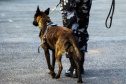 A soldado Angélica Aparecida Chuede é a primeira mulher a fazer parte da Companhia de Operações com Cães (COC) do Batalhão de Operações Especiais (BOPE), em 47 anos de criação da subunidade. A inclusão da militar estadual aconteceu com a formatura dela no Curso de Cinotecnia na última semana, que fez todas as etapas com seu cão Hunter.  -  Curitiba, 04/07/2019  =-  Foto: Soldado Amanda Morais