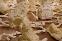 A artista paranaense Guita Soifer apresenta a sua exposição inédita, que poderá ser vista até o dia 25 de agosto, na Sala 10. ?Oferenda? é uma escultura contemporânea feita a partir de resina plástica que parece brotar da parede da sala expositiva, invadindo boa parte do espaço e provocando um efeito surrealista.  -  Curitiba, 09/07/2019  -  Foto: 