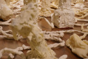 A artista paranaense Guita Soifer apresenta a sua exposição inédita, que poderá ser vista até o dia 25 de agosto, na Sala 10. ?Oferenda? é uma escultura contemporânea feita a partir de resina plástica que parece brotar da parede da sala expositiva, invadindo boa parte do espaço e provocando um efeito surrealista.  -  Curitiba, 09/07/2019  -  Foto: 