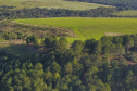 Paraná se destaca no uso de sistema para gestão de florestas.Foto: José Fernando Ogura/ANPr
