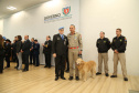 O governador em exercício Darci Piana foi escolhido pelo Instituto Boina Azul, do Rio Grande do Sul, para representar o Paraná na homenagem à Segurança Pública do Estado. A solenidade de entrega da Medalha de Grau Cavaleiro ocorreu nesta quinta-feira (18) no salão de atos do Palácio Iguaçu. Foto: José Fernando Ogura/ANPr