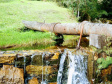 Mananciais da Serra estarão abertos no próximo domingo. Foto: Sanepar