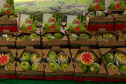 O café do Norte Pioneiro, a erva-mate de São Mateus do Sul, as uvas finas de mesa de Marialva, a goiaba de Carlópolis e o mel de Ortigueira e do Oeste do Paraná terão seus nomes protegidos. Isso significa que mercadorias com esses nomes só poderão ser comercializadas, no Mercosul e na União Europeia se tiverem sido produzidas nessas regiões específicas. -  Foto: Divulgação APC