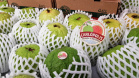 O café do Norte Pioneiro, a erva-mate de São Mateus do Sul, as uvas finas de mesa de Marialva, a goiaba de Carlópolis e o mel de Ortigueira e do Oeste do Paraná terão seus nomes protegidos. Isso significa que mercadorias com esses nomes só poderão ser comercializadas, no Mercosul e na União Europeia se tiverem sido produzidas nessas regiões específicas.-  Foto: Régis Santos