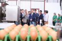 O governador Carlos Massa Ratinho Junior participou nesta terça-feira (23), em Cascavel, do evento de certificação SISBI (Sistema Brasileiro de Inspeção de Produtos de Origem Animal) para a Granja Refem, que desenvolve um projeto pioneiro no Estado de produção de ovos a partir da criação de galinhas sem gaiola. Foto: Rodrigo Felix Leal/ANPr