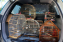 Uma operação da Polícia Militar iniciada nesta terça-feira (24) com o objetivo de combater o tráfico e o comércio de aves silvestres cumpriu mandados de prisão em Curitiba, Almirante Tamandaré, Campo Largo, Fazenda Rio Grande, Piraquara, Colombo e Cerro Azul. Foto: Soldado Ismael Ponchio