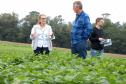 A pesquisadora Vania Moda Cirino, do Instituto Agronômico do Paraná (Iapar), recebe neste domingo (28) o Prêmio Destaque Feminino em Melhoramento de Plantas em Águas de Lindoia, São Paulo.  Foto: Divulgação/Iapar