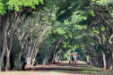 Hotel Fazenda Itacorá. Itaipulândia. Foto: José Fernando Ogura/ANPr