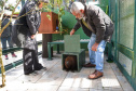O Instituto Ambiental do Paraná (IAP) encaminhou nesta segunda-feira (06) um bugio para o Instituto Conservacionista Anami, em São José dos Pinhais. O local é especializado em proteção e recuperação de grandes primatas. O animal foi levado ao Centro de Apoio à Fauna Silvestre (Cafs) em maio deste ano pela Secretaria de Saúde do mesmo município com suspeita de febre amarela. Foto: Denis Ferreira Netto/SEDEST