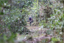 Jogos de Aventura e Natureza encantam o litoral do Paraná. Foto: José Fernando Ogura/AEN