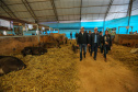 O governador Carlos Massa Ratinho Junior visita nesta quinta-feira (15), a Agroleite, realizado pela Cooperativa Castrolanda, em Castro, nos Campos Gerais. Considerado um dos maiores eventos da cadeia do leite na América, a Agroleite tem foco na tecnologia, produtividade e melhores resultados para os produtores. Castro, 15/08/2019 - Foto: Geraldo Bubniak/AEN