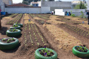 O trabalho de revitalização da Horta Comunitária Visitação, no Bairro Boqueirão, em Curitiba, foi inaugurado nesta sexta-feira (16)