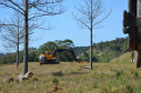 A construção de um novo Posto de Fiscalização de Trânsito Agropecuário (PFTA) da Agência de Defesa Agropecuária do Paraná (Adapar) em Campina Grande do Sul, na Região Metropolitana de Curitiba, deve ampliar o potencial de defesa da sanidade do Estado