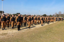 A Polícia Militar realizou duas novas edições da operação Tático Móvel na semana passada em Curitiba. O trabalho preventivo de segurança teve mais de 1,8 mil pessoas e 665 veículos abordados, com 16 prisões e 187 autos de infração lavrados. As ações envolveram 550 policiais entre quinta-feira (15) e sexta-feira (16/08).