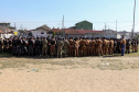 A Polícia Militar realizou duas novas edições da operação Tático Móvel na semana passada em Curitiba. O trabalho preventivo de segurança teve mais de 1,8 mil pessoas e 665 veículos abordados, com 16 prisões e 187 autos de infração lavrados. As ações envolveram 550 policiais entre quinta-feira (15) e sexta-feira (16/08).