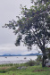 O Porto Barão do Teffé, em Antonina, no Litoral do Paraná, é cenário de uma das cenas do longa-metragem brasileiro Paixões Recorrentes no Atlântico Sul, da diretora Ana Carolina Teixeira Soares. O filme todo está sendo gravado no Litoral, nesta semana. Foto:Divulgação/Portos do Paraná