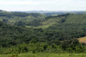 Estado abre 220 vagas para residência técnica na área ambiental. Foto: SEDEST