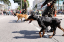 Aproximadamente 20 mil pessoas acompanharam neste sábado (7), em Curitiba, o desfile cívico-militar que comemora os 197 anos da Proclamação da Independência, segundo estimativas da Polícia Militar do Paraná. O governador Carlos Massa Ratinho Junior assistiu a solenidade de 7 de Setembro na Avenida Cândido de Abreu, acompanhado de sua família, do comandante da 5ª Divisão do Exército, general de divisão José Russo Assumpção Delgado, do vice-governador Darci Piana e de diversas autoridades.