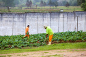 No Paraná, 7.002 presos custodiados pelo Departamento Penitenciário Estadual (Depen) trabalham em projetos para a remição de pena, em todas as unidades penais do Estado, o que representa 30% da população carcerária do Paraná. Segundo colocado no ranking nacional, os detentos trabalham em 11 fábricas de uniformes, sete de pavers (bloquetos de pavimentação de calçadas), uma de bolas, uma de fraldas, uma indústria gráfica e uma de tijolos ecológicos.-Foto: Gilson Abreu/AEN
