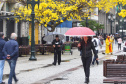 A primavera começa às 4h50 desta segunda-feira, 23 de setembro, e termina à 1h19 de 22 de dezembro. Segundo a previsão do Simepar, no primeiro dia da estação as temperaturas serão amenas na maior parte do Paraná. As mínimas devem ficar entre 5 oC em Rio Negro e 17 oC em Guaíra. As máximas devem variar de 13 oC em Curitiba a 29 oC em Paranavaí e Umuarama. Foto: José Fernando Ogura/AEN