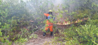 A atuação que os bombeiros paranaenses tiveram na Amazônia, integrando a Operação Verde Brasil, do Ministério da Defesa, será valiosa para os trabalhos no Paraná, em favor da população do Estado. “Nossa experiência na Amazônia nos prepara para o trabalho que faremos no nosso Estado”, avalia o tenente-coronel Fernando Raimundo Schunig, comandante da equipe paranaense e do 3º Comando Regional dos Bombeiros, sediado em Cascavel (Oeste). Foto: Divulgalção/PMPR