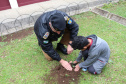 Curitiba, 23 de setembro de 2019. Programa Parana Verde. Foto: Comandante Geral do Policia Militar planta arvore no Colegio Estadual Santo antonio.
