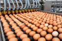 O desempenho paranaense decorreu principalmente pelos bons resultados no setor agropecuário e da indústria, com crescimentos de 3,52% e 2,94%, respectivamente. A produção florestal, pecuária, fabricação de veículos automotores e indústria de máquinas e equipamentos (bens de capital) foram decisivos na retomada apontada no período.Foto: Arnaldo Alves / ANPr.