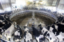 O desempenho paranaense decorreu principalmente pelos bons resultados no setor agropecuário e da indústria, com crescimentos de 3,52% e 2,94%, respectivamente. A produção florestal, pecuária, fabricação de veículos automotores e indústria de máquinas e equipamentos (bens de capital) foram decisivos na retomada apontada no período. Foto:Jaelson Lucas / AEN