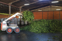 Produção de Erva Mate em São Mateus do Sul. Foto: José Fernando Ogura/ANPr - 01/2019