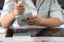 O Paraná ampliou em 17% o número de Teste da Mãezinha em 2019, em comparação aos dois últimos anos. De janeiro até 30 de setembro, 51.191 mulheres fizeram o procedimento para identificação de situações que podem levar risco à gestação e ao parto prematuro, a exemplo da doença falciforme e a talassemia. A coleta de sangue para o exame é recomendada a partir do primeiro trimestre da gravidez. Foto: Divulgação/SESA