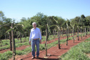 Um novo empreendimento de fruticultura, que recebe investimentos de R$ 26 milhões e está sendo instalado em Santo Antonio do Paraíso, no Norte Pioneiro, deverá impactar a economia da região. O empreendimento Vila Puree é integrado com produtores, que vão produzir oito tipos de frutas para extração da polpa. A renda que será gerada no campo está estimada em R$ 3,2 milhões por ano agrícola. Foto:Divulgação/SEAB