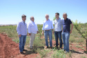 Um novo empreendimento de fruticultura, que recebe investimentos de R$ 26 milhões e está sendo instalado em Santo Antonio do Paraíso, no Norte Pioneiro, deverá impactar a economia da região. O empreendimento Vila Puree é integrado com produtores, que vão produzir oito tipos de frutas para extração da polpa. A renda que será gerada no campo está estimada em R$ 3,2 milhões por ano agrícola. Foto:Divulgação/SEAB