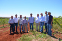 Um novo empreendimento de fruticultura, que recebe investimentos de R$ 26 milhões e está sendo instalado em Santo Antonio do Paraíso, no Norte Pioneiro, deverá impactar a economia da região. O empreendimento Vila Puree é integrado com produtores, que vão produzir oito tipos de frutas para extração da polpa. A renda que será gerada no campo está estimada em R$ 3,2 milhões por ano agrícola. Foto:Divulgação/SEAB
