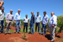 Um novo empreendimento de fruticultura, que recebe investimentos de R$ 26 milhões e está sendo instalado em Santo Antonio do Paraíso, no Norte Pioneiro, deverá impactar a economia da região. O empreendimento Vila Puree é integrado com produtores, que vão produzir oito tipos de frutas para extração da polpa. A renda que será gerada no campo está estimada em R$ 3,2 milhões por ano agrícola. Foto:Divulgação/SEAB