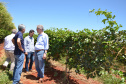 Um novo empreendimento de fruticultura, que recebe investimentos de R$ 26 milhões e está sendo instalado em Santo Antonio do Paraíso, no Norte Pioneiro, deverá impactar a economia da região. O empreendimento Vila Puree é integrado com produtores, que vão produzir oito tipos de frutas para extração da polpa. A renda que será gerada no campo está estimada em R$ 3,2 milhões por ano agrícola. Foto:Divulgação/SEAB