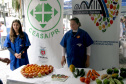 O Dia Mundial da Alimentação foi lembrado nesta quarta-feira (16), em Curitiba, com uma série de atividades no Calçadão da Rua XV de Novembro, no centro da cidade. Entre as várias barracas montadas para levar a população a refletir sobre o lema “Nossas ações são o nosso futuro”, estava a do Governo do Estado, com a presença do Departamento de Segurança Alimentar e Nutricional (Desan), da Secretaria de Estado da Agricultura, do Instituto Emater, da Ceasa, e do Iapar.Foto: Divulgação/SEAB