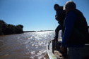 O Instituto Ambiental do Paraná (IAP) anuncia o período de restrição à pesca de espécies nativas no Paraná a partir desta sexta-feira (01) e segue até março de 2020. Todas as espécies nativas do Estado são protegidas, como bagre, dourado, jaú, pintado e lambari. É durante esse período, conhecido como piracema, que a maioria delas se reproduz. Foto: Arquivo/IAP