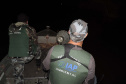 O Instituto Ambiental do Paraná (IAP) anuncia o período de restrição à pesca de espécies nativas no Paraná a partir desta sexta-feira (01) e segue até março de 2020. Todas as espécies nativas do Estado são protegidas, como bagre, dourado, jaú, pintado e lambari. É durante esse período, conhecido como piracema, que a maioria delas se reproduz. Foto: Arquivo/IAP