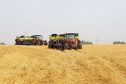 Paraná prorroga prazo para o plantio da soja. Foto: Jaelson Lucas/AEN