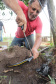 Sanepar instala água tratada na comunidade ruaral Alto do Divino, 11km da sede do município de Campo Morão. N/F: João Ferreira Lopes instalando o encanamento para receber água tratada em sua propriedade.Campo Mourão, 08-11-19.Foto: Arnaldo Alves / AEN.
