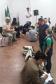 O Serviço Estadual de Vigilância dos Acidentes por Animais Peçonhentos da Secretaria da Saúde promove treinamentos de forma contínua para manter os técnicos da área atualizados. Foto: Divulgação/SESA