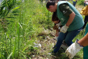 A Secretaria da Saúde do Paraná orienta a manter os ambientes limpos e organizados para evitar o aparecimento de animais peçonhentos, como aranhas, escorpiões, serpentes, que têm maior incidência em períodos de calor. Dados de 2018 indicam que no Paraná aconteceram mais de 18 mil acidentes com algum tipo de animal peçonhento.Foto: Divulgação/SESA