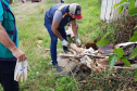 A Secretaria da Saúde do Paraná orienta a manter os ambientes limpos e organizados para evitar o aparecimento de animais peçonhentos, como aranhas, escorpiões, serpentes, que têm maior incidência em períodos de calor. Dados de 2018 indicam que no Paraná aconteceram mais de 18 mil acidentes com algum tipo de animal peçonhento.Foto: Divulgação/SESA
