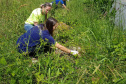 A Secretaria da Saúde do Paraná orienta a manter os ambientes limpos e organizados para evitar o aparecimento de animais peçonhentos, como aranhas, escorpiões, serpentes, que têm maior incidência em períodos de calor. Dados de 2018 indicam que no Paraná aconteceram mais de 18 mil acidentes com algum tipo de animal peçonhento.Foto: Divulgação/SESA