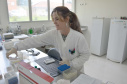 O Centro de Diagnóstico Marcos Enrietti, vinculado à Agência de Defesa Agropecuária do Paraná (Adapar), trabalha como apoio à defesa agropecuária do Paraná e realiza aproximadamente 100 mil exames por ano. Eles ajudam a manter a saúde animal e a sanidade vegetal de boa parte dos produtos consumidos no País e exportados.Foto: Divulgação/SEAB