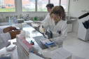 O Centro de Diagnóstico Marcos Enrietti, vinculado à Agência de Defesa Agropecuária do Paraná (Adapar), trabalha como apoio à defesa agropecuária do Paraná e realiza aproximadamente 100 mil exames por ano. Eles ajudam a manter a saúde animal e a sanidade vegetal de boa parte dos produtos consumidos no País e exportados.Foto: Divulgação/SEAB