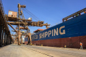 O Porto de Paranaguá faz nesta semana a segunda maior operação de granéis de sua história em um único navio. Serão 89 mil toneladas de farelo de soja, carregadas no Kang Xin Hai, que tem 254 metros de comprimento e segue para o porto de Amsterdã, na Holanda. A operação movimenta o equivalente a 3 mil caminhões de produto e o embarque durará sete dias.